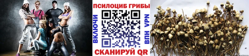 MEGA   Полярные Зори  Галлюциногенные грибы ЛСД 